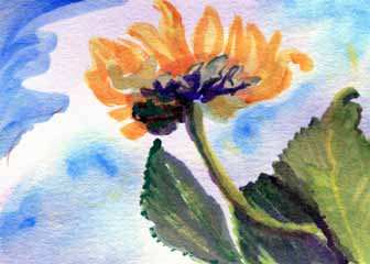"Sunflower" by Mary Lou Lindroth, Rockton IL - Watercolor